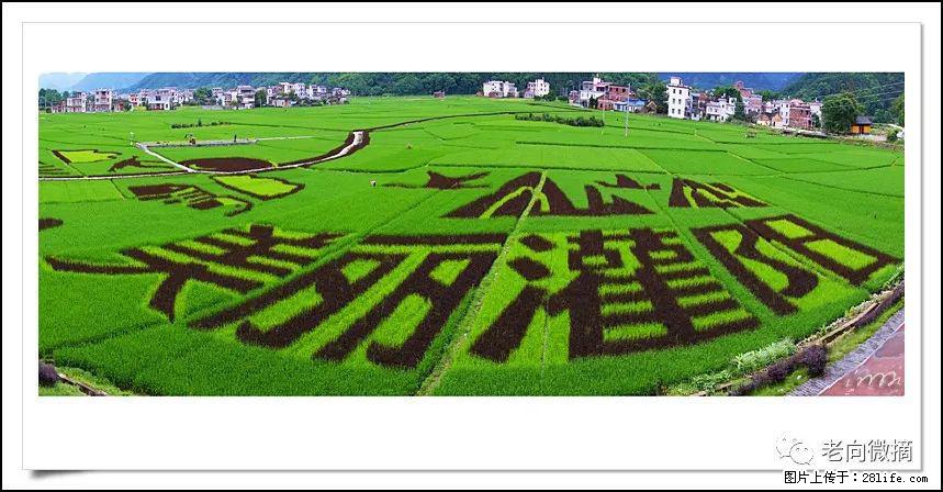 【春天，广西桂林灌阳县向您发出邀请！】开篇 - 游山玩水 - 吉林生活社区 - 吉林28生活网 jl.28life.com