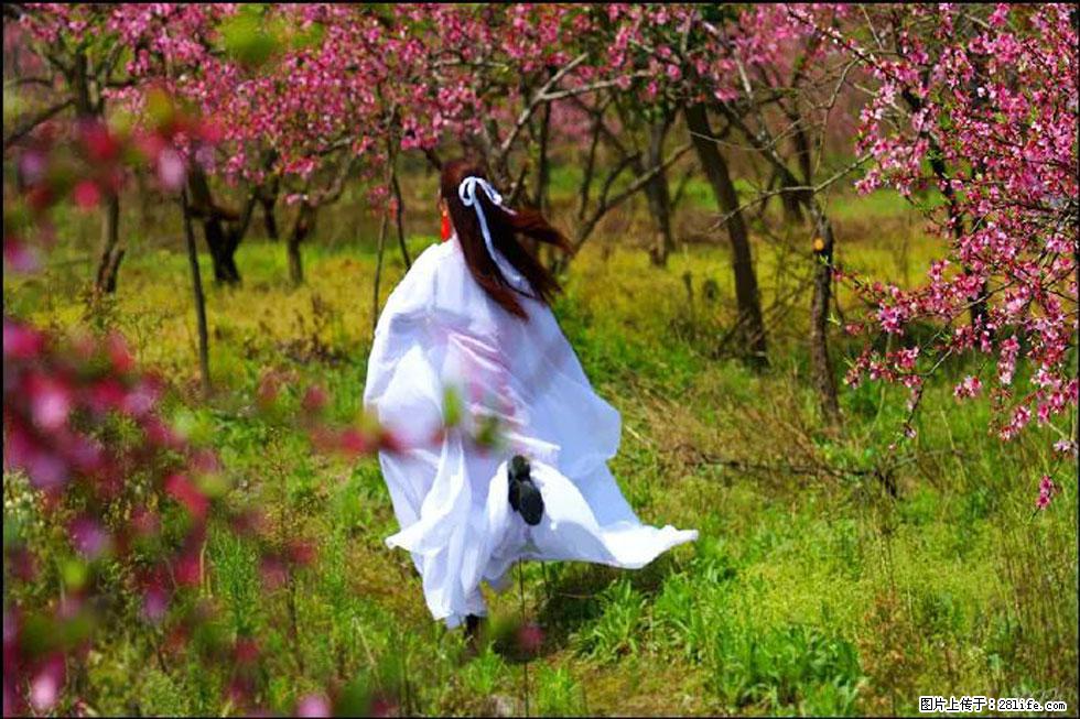 【春天，广西桂林灌阳县向您发出邀请！】官庄村有个醉美的桃花园 - 游山玩水 - 吉林生活社区 - 吉林28生活网 jl.28life.com
