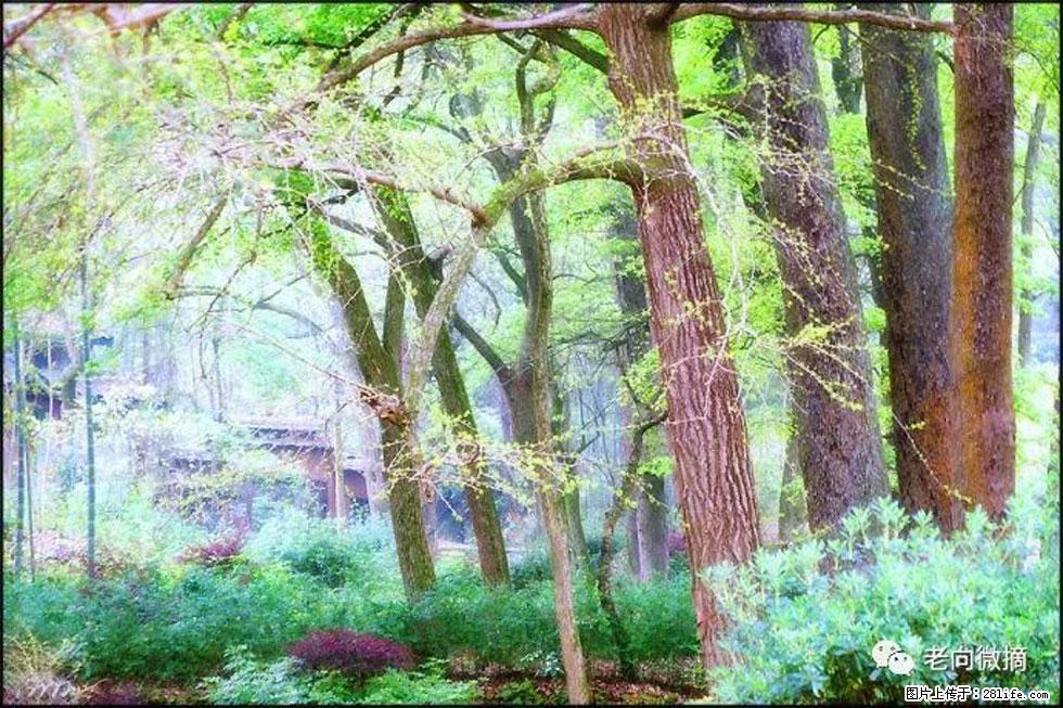 【春天，广西桂林灌阳县向您发出邀请！】在小龙村与春天约会 - 游山玩水 - 吉林生活社区 - 吉林28生活网 jl.28life.com