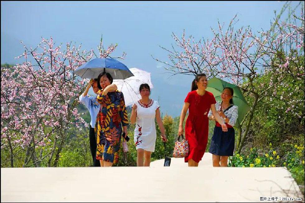 【春天，广西桂林灌阳县向您发出邀请！】望月岭上桃花开 - 游山玩水 - 吉林生活社区 - 吉林28生活网 jl.28life.com
