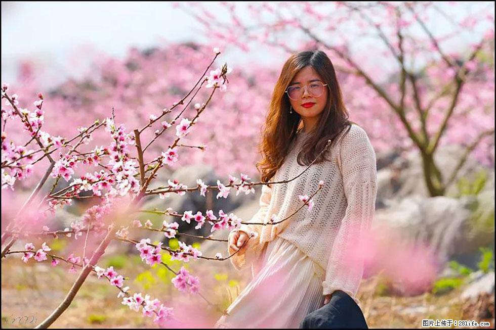 【春天，广西桂林灌阳县向您发出邀请！】望月岭上桃花开 - 游山玩水 - 吉林生活社区 - 吉林28生活网 jl.28life.com