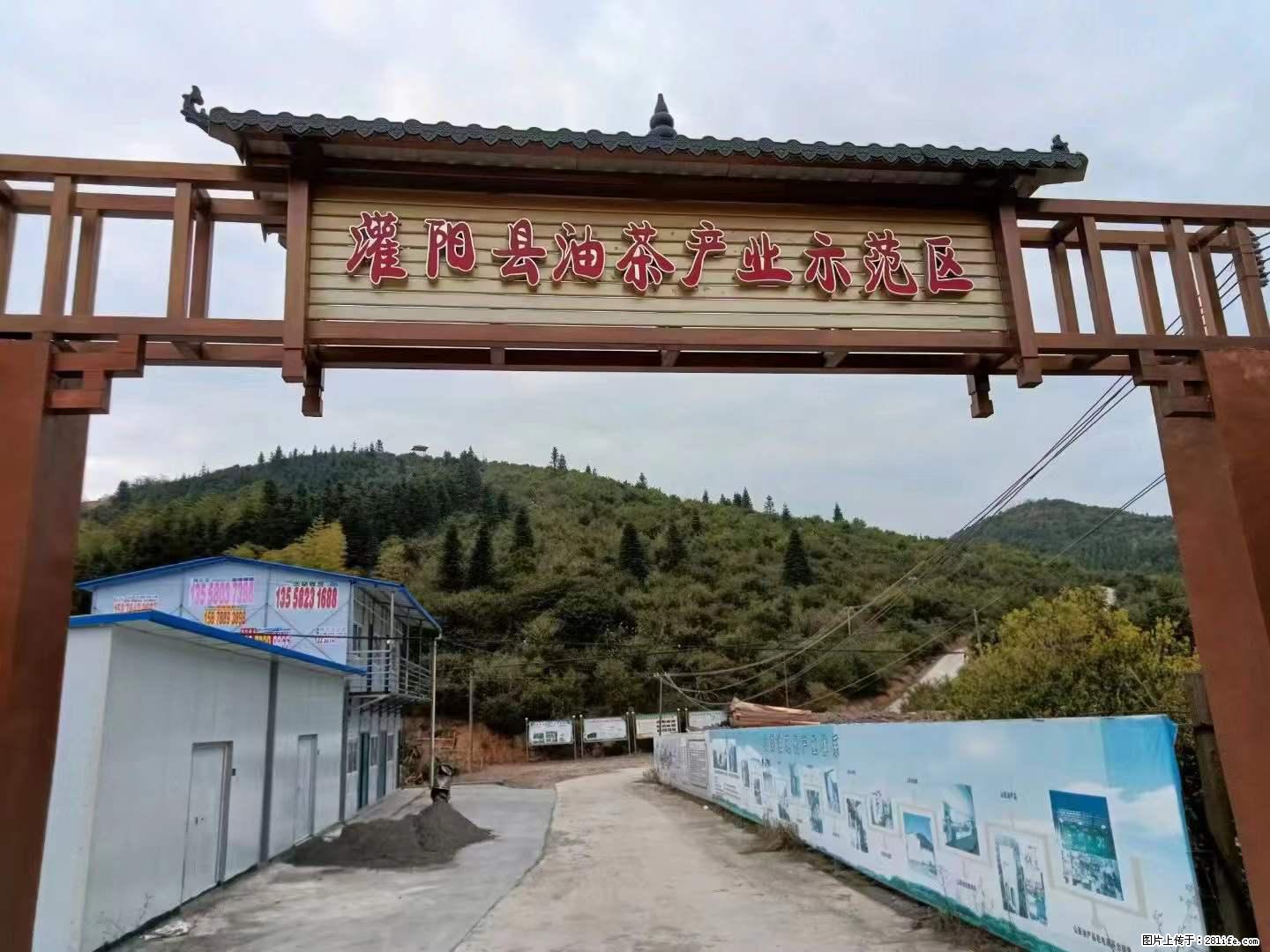 【灌阳县油茶产业示范区】一个有着充实的精神生活的人,对待身外之物自会有一种淡泊的态度 - 美食天地 - 吉林生活社区 - 吉林28生活网 jl.28life.com