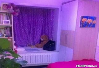 (单间出租)自家月付电梯八一 市场财经学校新玛特世纪广场厦门街科贸商城 - 吉林28生活网 jl.28life.com