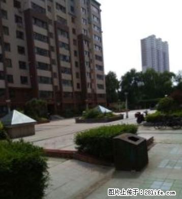 华天佳苑，众安居旁，精装修，居住环境好。 - 房屋出租 - 房屋租售 - 吉林分类信息 - 吉林28生活网 jl.28life.com