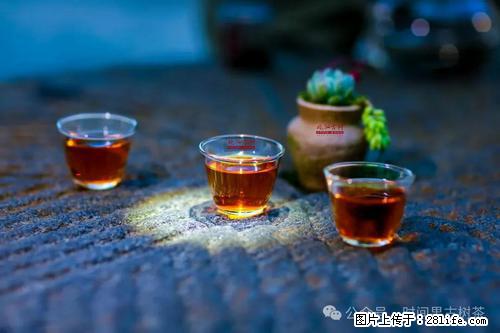 时间果百年古树2025年春红茶 - 购物交流 - 吉林生活社区 - 吉林28生活网 jl.28life.com