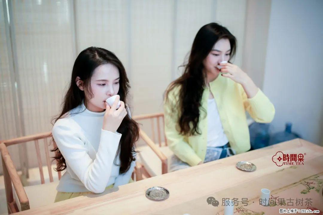 时间果百年古树龙珠普洱生茶 - 购物交流 - 吉林生活社区 - 吉林28生活网 jl.28life.com