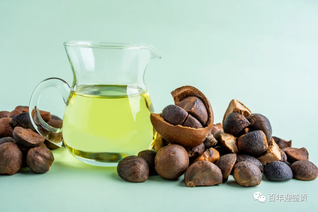世界没有真相,只有认知,最好的食用油是中国的山茶油! - 吉林生活资讯 - 吉林28生活网 jl.28life.com