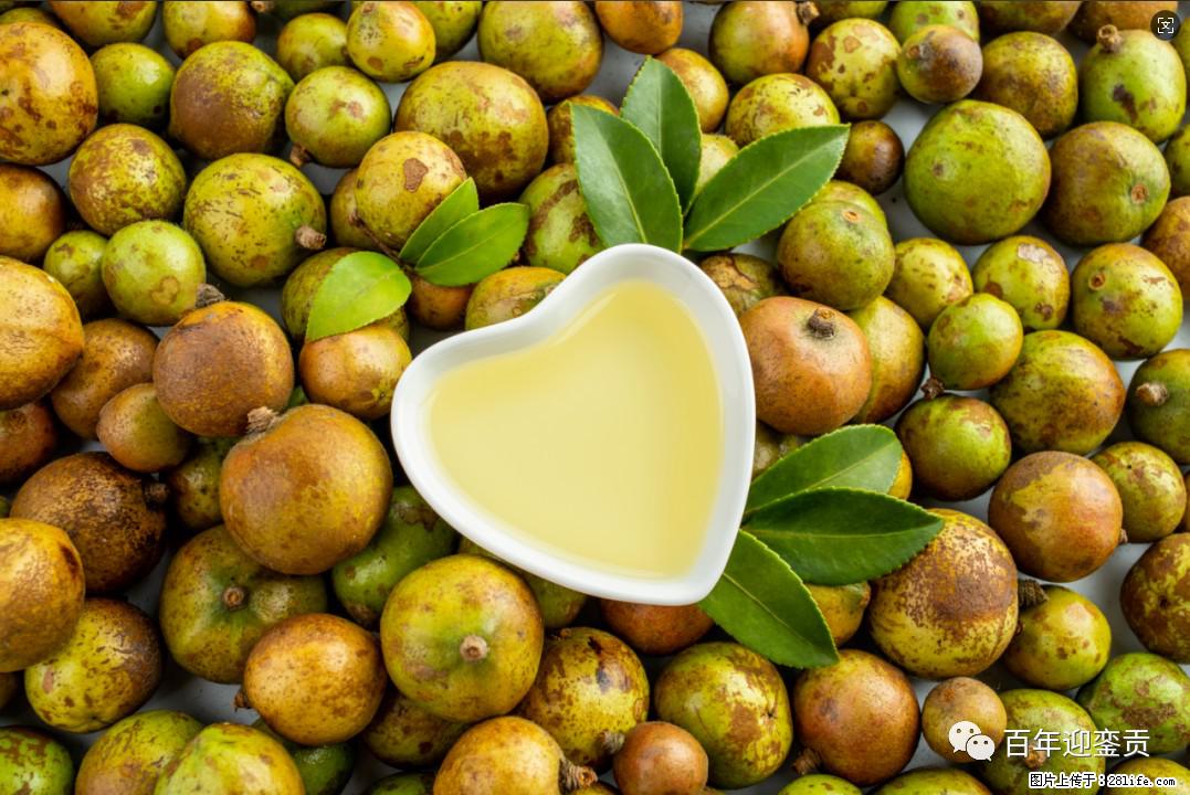 世界没有真相,只有认知,最好的食用油是中国的山茶油! - 吉林生活资讯 - 吉林28生活网 jl.28life.com