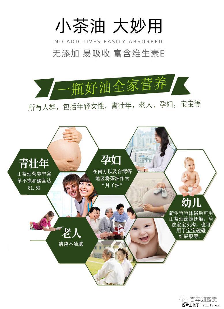 世界没有真相,只有认知,最好的食用油是中国的山茶油! - 吉林生活资讯 - 吉林28生活网 jl.28life.com