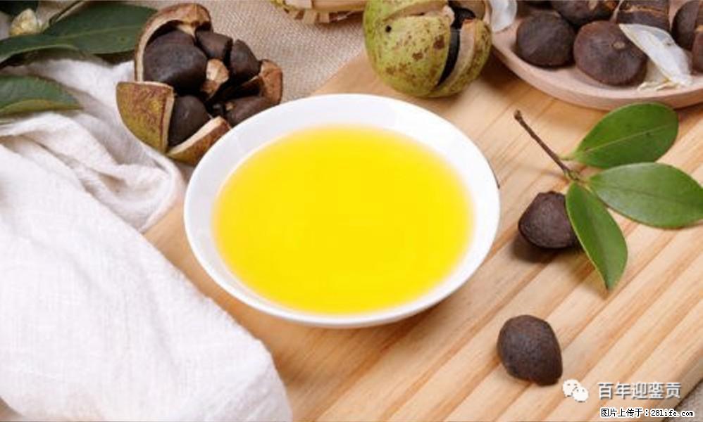 世界没有真相,只有认知,最好的食用油是中国的山茶油! - 吉林生活资讯 - 吉林28生活网 jl.28life.com