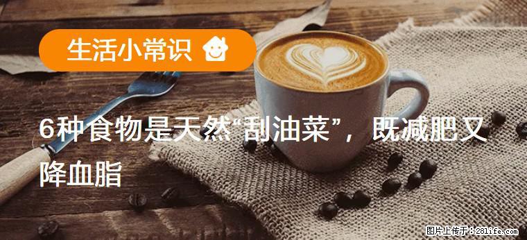 【生活小常识】6种食物是天然“刮油菜”,既减肥又降血脂 - 吉林生活资讯 - 吉林28生活网 jl.28life.com