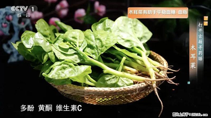 比牛奶补钙还厉害！凉血解毒、稳血糖...这菜冬天必吃，很多人却当草 - 吉林生活资讯 - 吉林28生活网 jl.28life.com