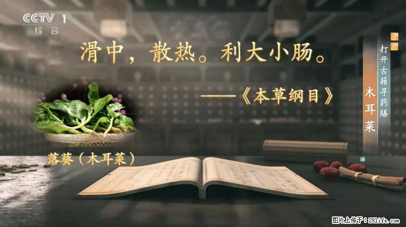 比牛奶补钙还厉害！凉血解毒、稳血糖...这菜冬天必吃，很多人却当草 - 吉林生活资讯 - 吉林28生活网 jl.28life.com