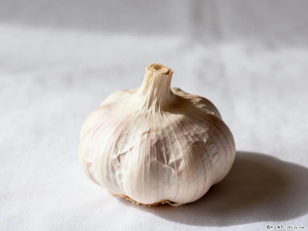 关于大蒜，除了“天然抗生素”，这4个谣言更该警惕! - 吉林生活资讯 - 吉林28生活网 jl.28life.com