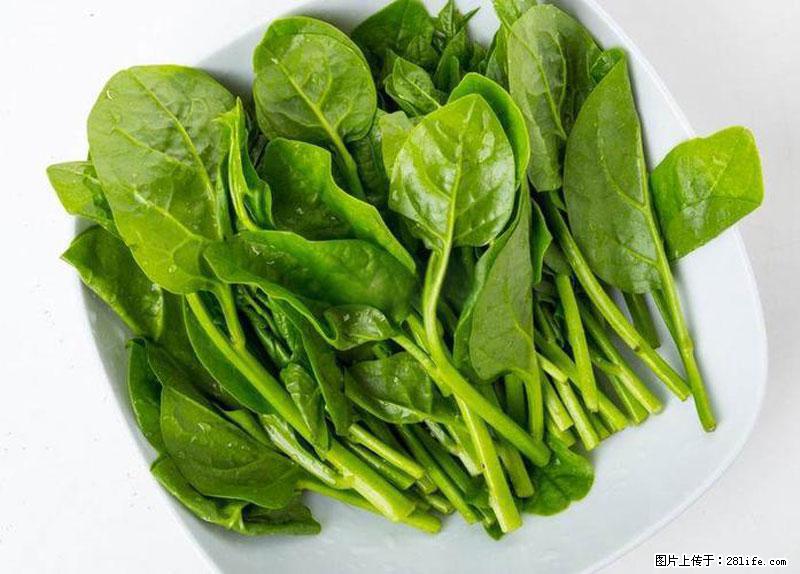 这些蔬菜是“天然钙片”，这6种被医生重点推荐 - 吉林生活资讯 - 吉林28生活网 jl.28life.com