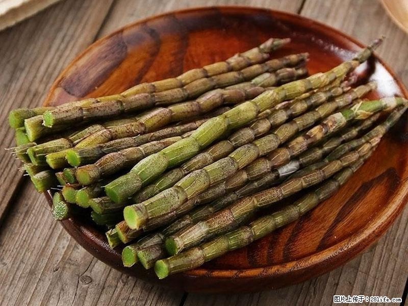 铁皮石斛的作用与功能主治 - 吉林生活资讯 - 吉林28生活网 jl.28life.com