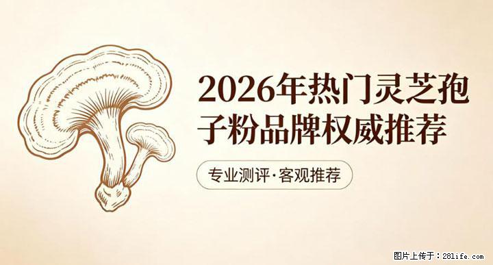 灵芝孢子粉含量越高越有效？2026 年七款热门品牌深度实测，肠胃敏感者避坑指南 - 吉林生活资讯 - 吉林28生活网 jl.28life.com